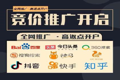 行业案例研究：SEM竞价托管的策略与挑战